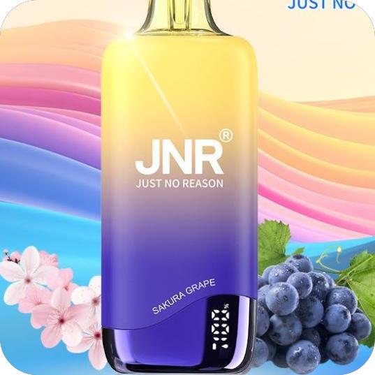 Une expérience sensorielle nouvelle : pourquoi JNR Puf séduit les vapoteurs modernes